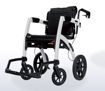 Rollz Rollator and Transport Chair