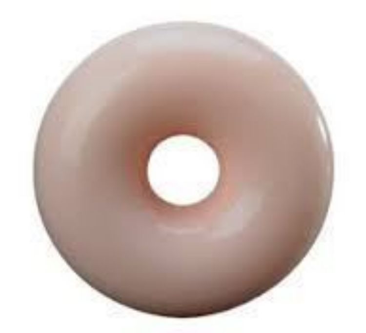 Donut Pessary