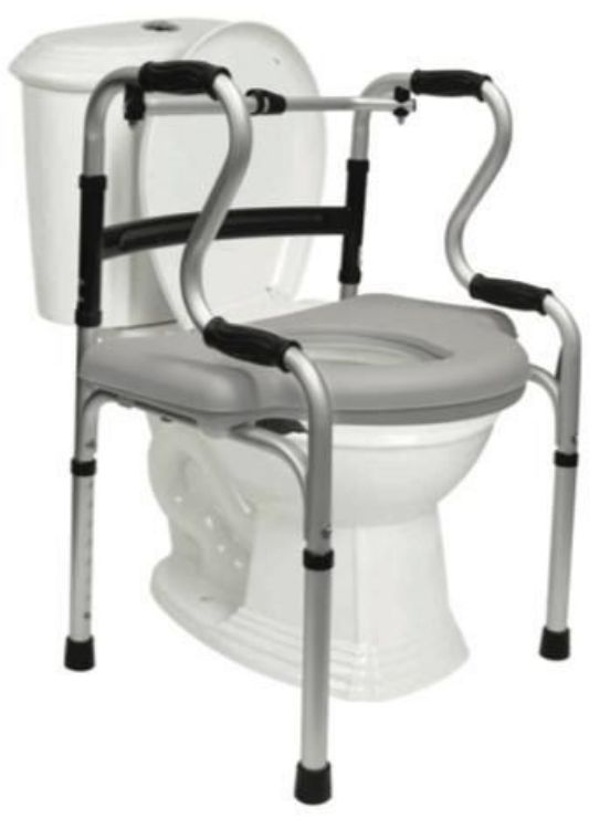 5-in-1 Mobility & Bathroom Aid