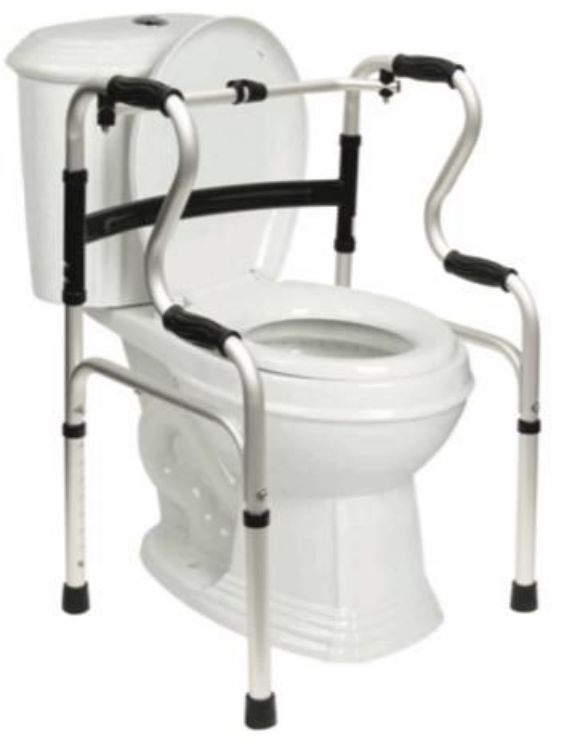 5-in-1 Mobility & Bathroom Aid