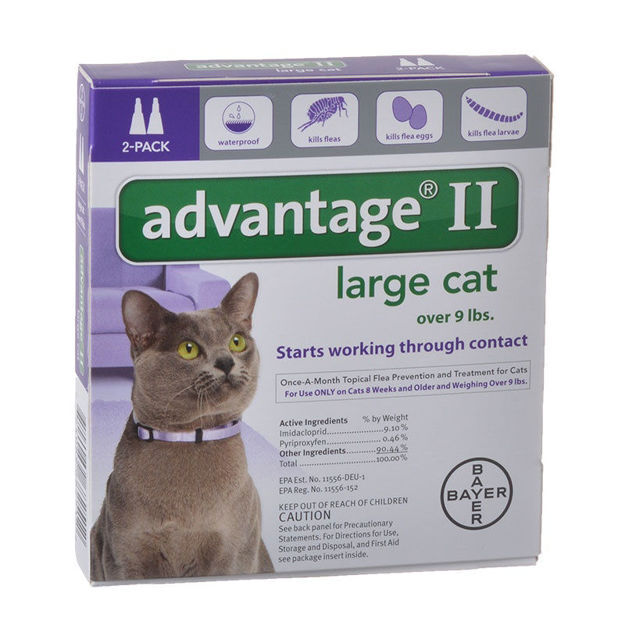 Advantage Flea Control For Cats And Kittens Over 9 Lbs 2 Month Supply advantage-flea-control-for-cats-and-kittens-over-9-lbs-2-month-supply