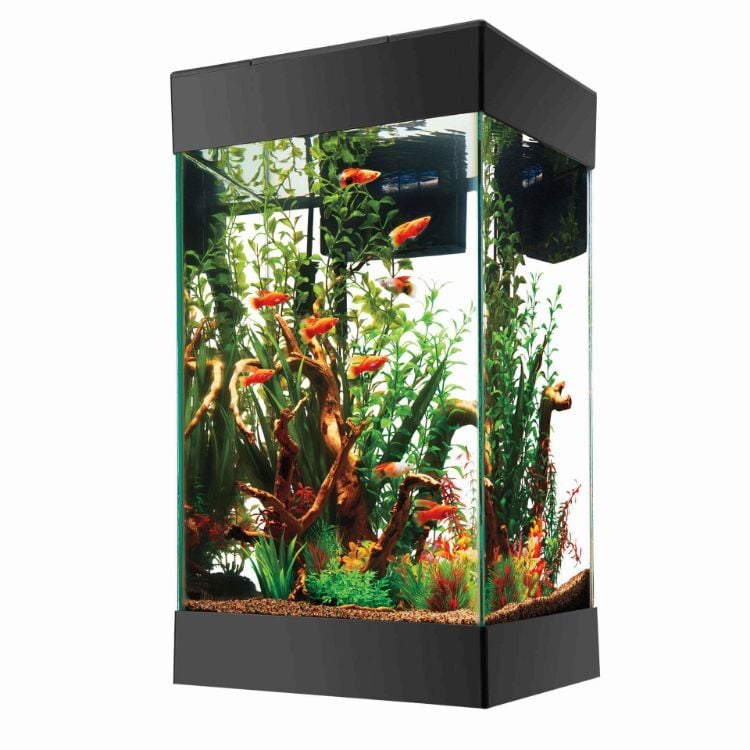 Aqueon 15 Column LED Aquarium Starter Kit Black 13.75" x 13.75" x 25"
