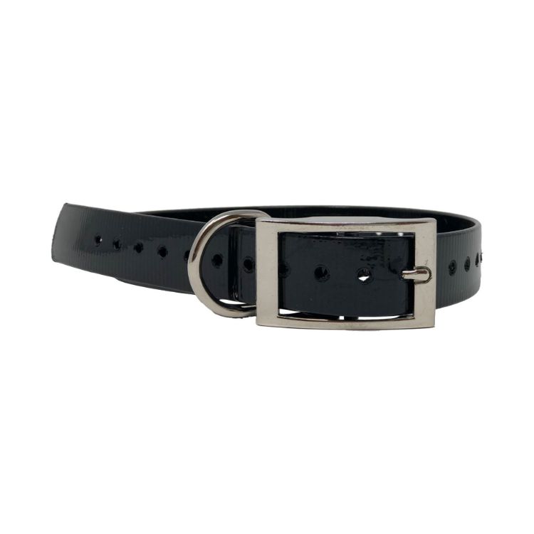 The Buzzard's Roost Replacement Collar Strap 1" Black 1" x 24"