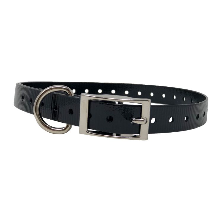 The Buzzard's Roost Replacement Collar Strap 3/4" Black 3/4" x 24"