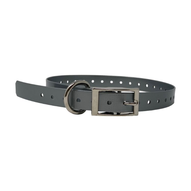 The Buzzard's Roost Replacement Collar Strap 3/4" Silver 3/4" x 24"