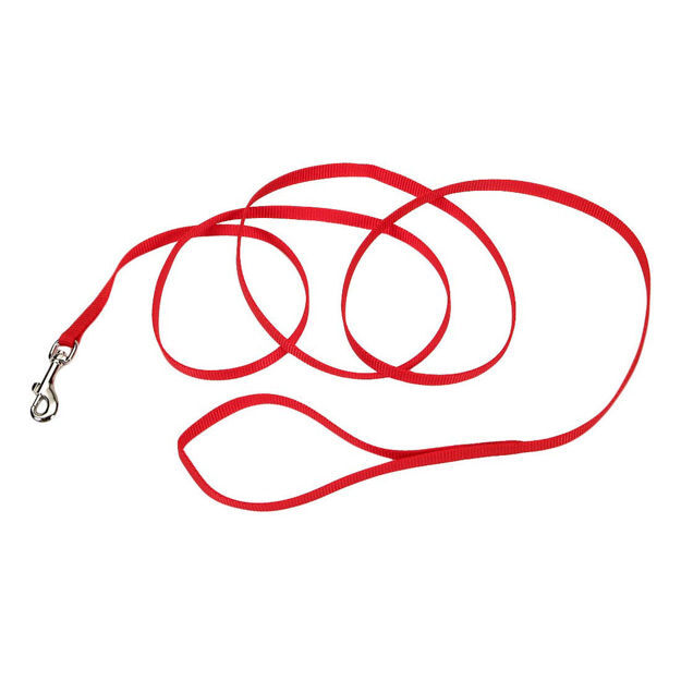 Coastal Pet Products Single-Ply Nylon Dog Leash Red 3/8" x 72"
