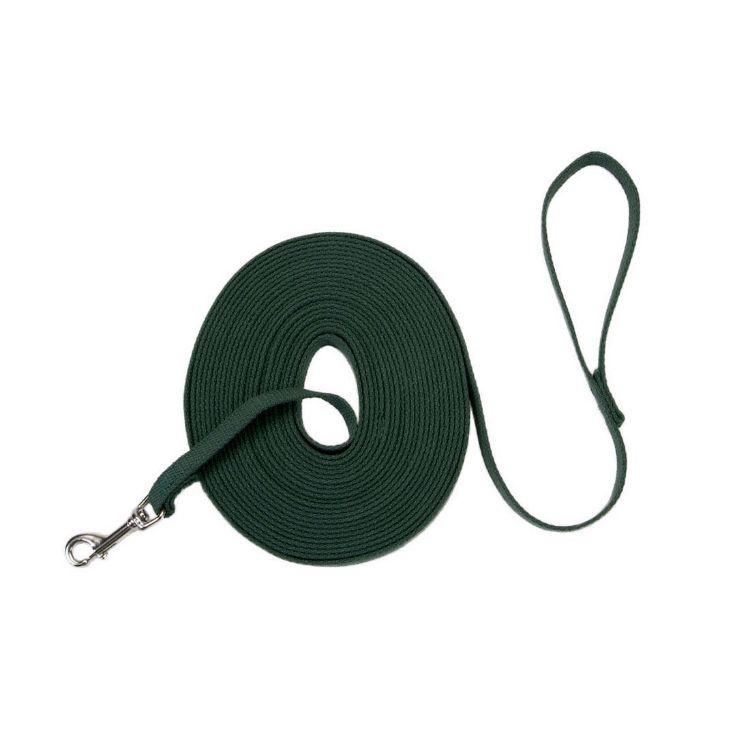 Coastal Pet Products Train Right Cotton Web Training Leash 20ft Green 5/8" x 20ft