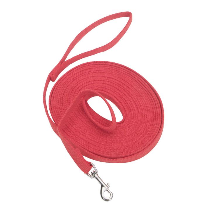 Coastal Pet Products Train Right Cotton Web Training Leash 30ft Red 5/8" x 30ft