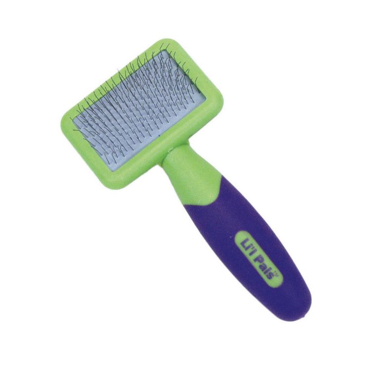 Coastal Pet Products Lil'l Pals Kitten Slicker Brush with Coated Tips Green / Purple 5" x 2.3" x 1"