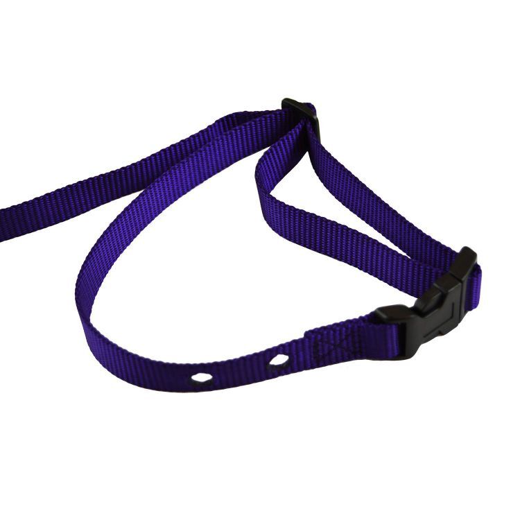 Custom Collars Adjustable Quick Release Nylon Replacement Collar Strap Purple 24" x 0.75" x 0.1"