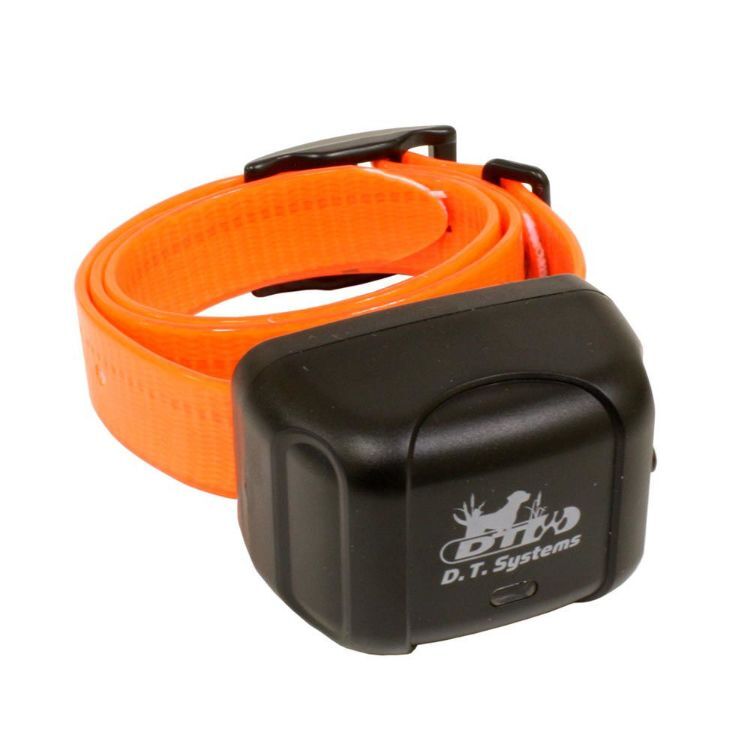 D.T. Systems Master Retriever Additional Collar Green