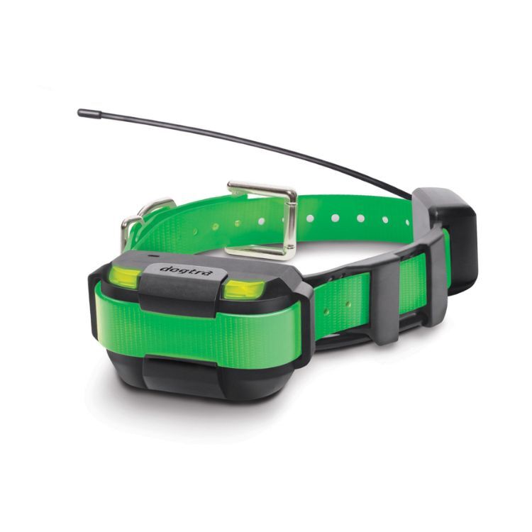 Dogtra Pathfinder Mini Extra Collar Green