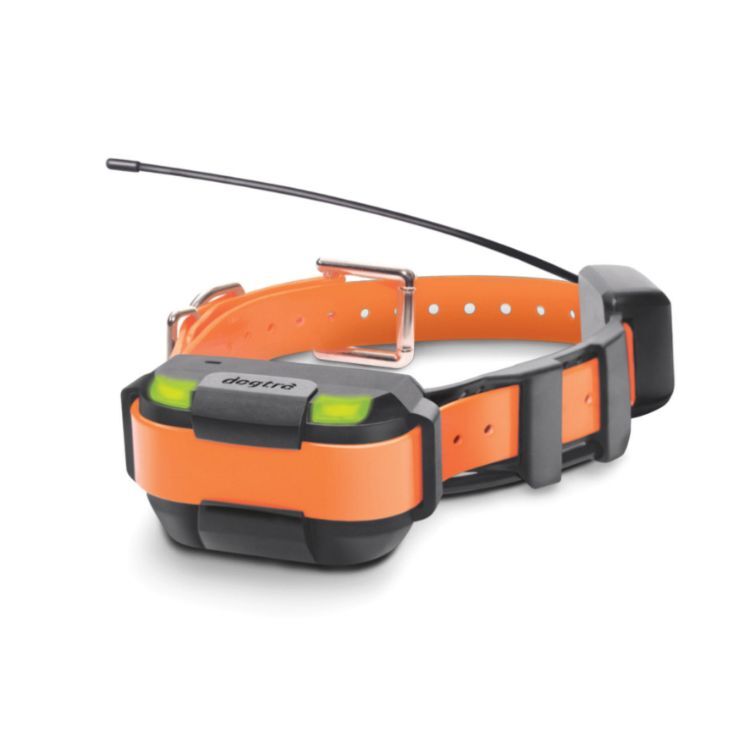 Dogtra Pathfinder Mini Extra Collar Orange