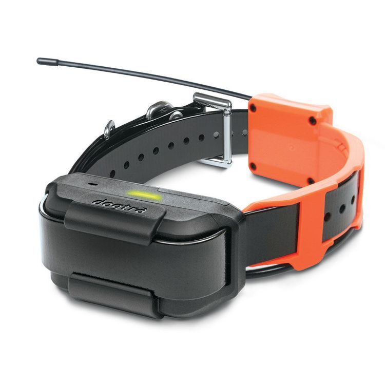 Dogtra gps collar deals