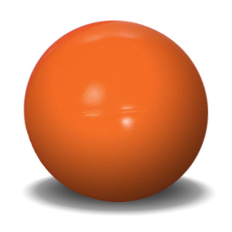 Hueter Toledo Virtually Indestructible Ball 10 inches Assorted 10" x 10" x 10"