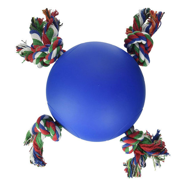 Hueter Toledo Soft Flex The Tuggy Dog Toy Blue 6.5" x 6.5" x 5.5"