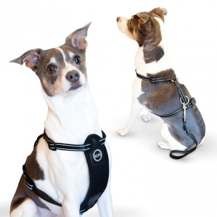 K&H Pet Products Travel Safety Pet Harness Medium Black