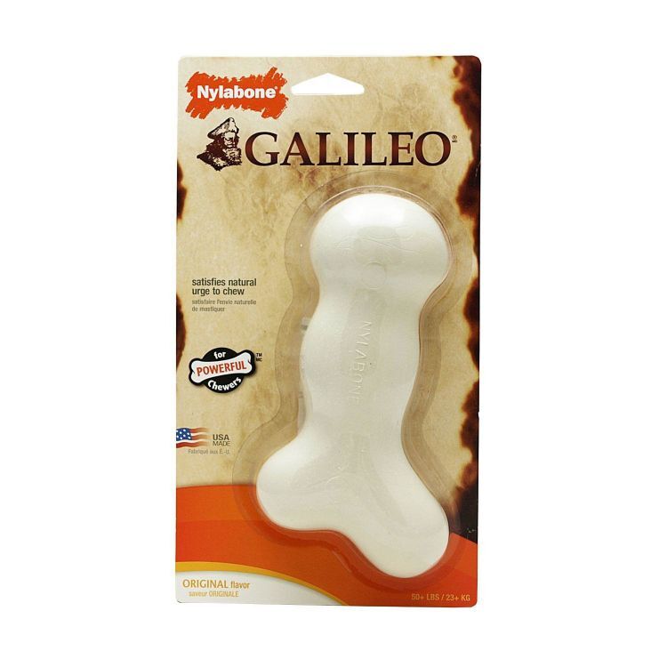 Nylabone Dura Chew Galileo Bone Medium White