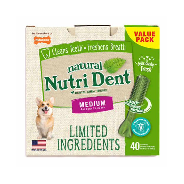 Nylabone Nutri Dent Limited Ingredient Dental Chews Fresh Breath Medium 40 count