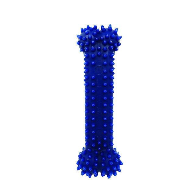 Nylabone Dental Chew Dog Chew Toy Extra Small Blue 4" x 1.1" x 0.5"