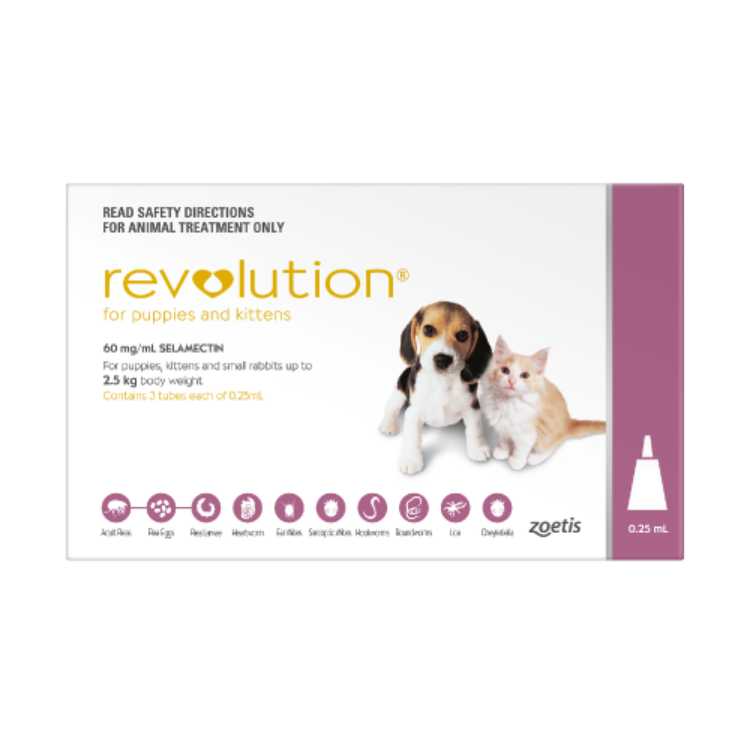 Revolution for Cat (Pink)