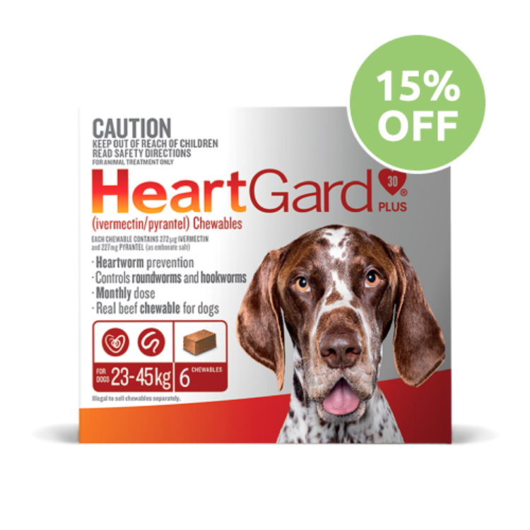 Heartgard Plus Chewable For Large Dog