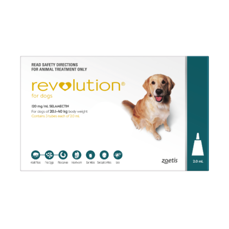 REVOLUTION FOR LARGE DOGS (TEAL)