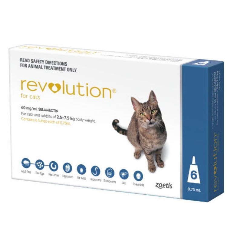 REVOLUTION CAT (BLUE)