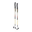 Summit Walking Poles