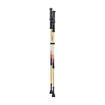 Summit Walking Poles