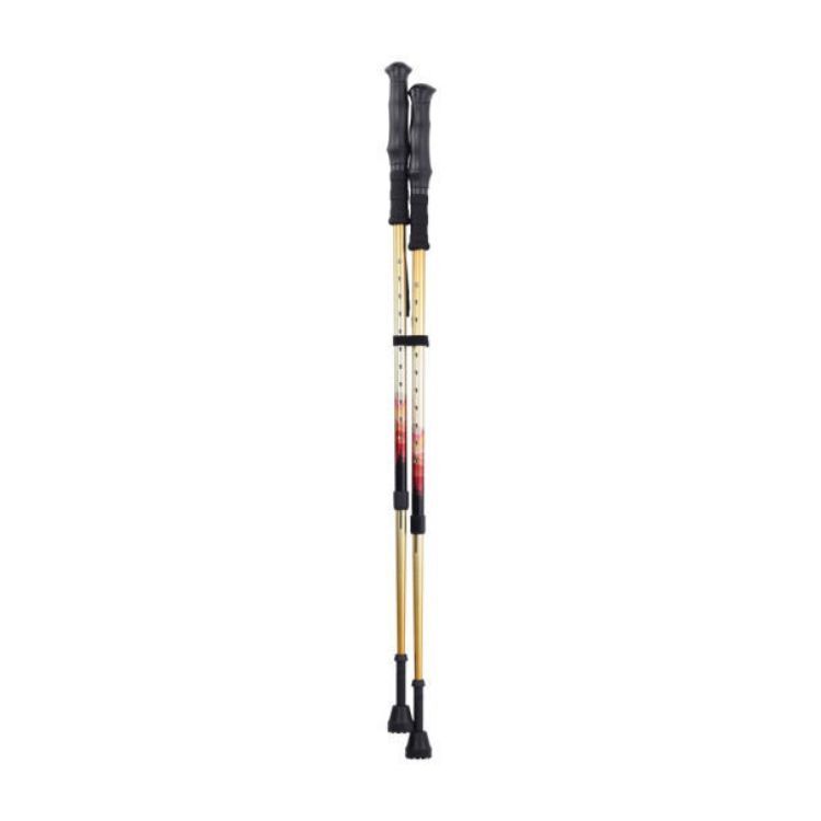 Summit Walking Poles