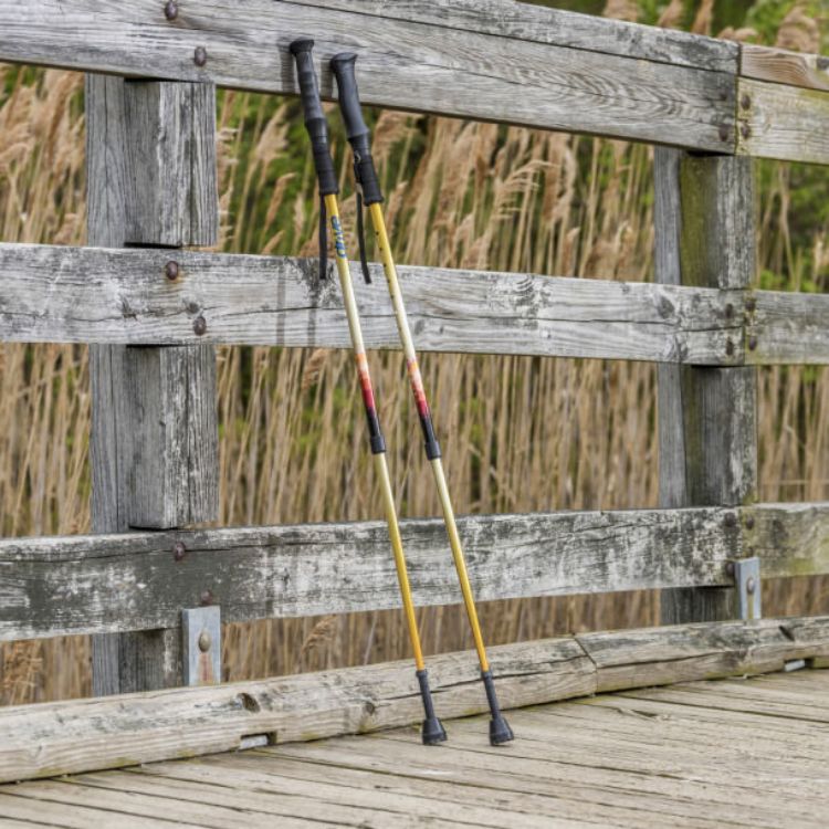 Summit Walking Poles