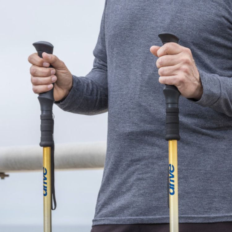 Summit Walking Poles