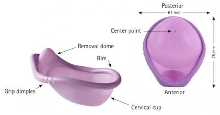 Caya Contoured Diaphragm