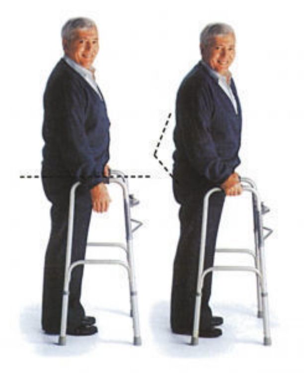 MEDLINE FOLDING WALKER FOR ADULT