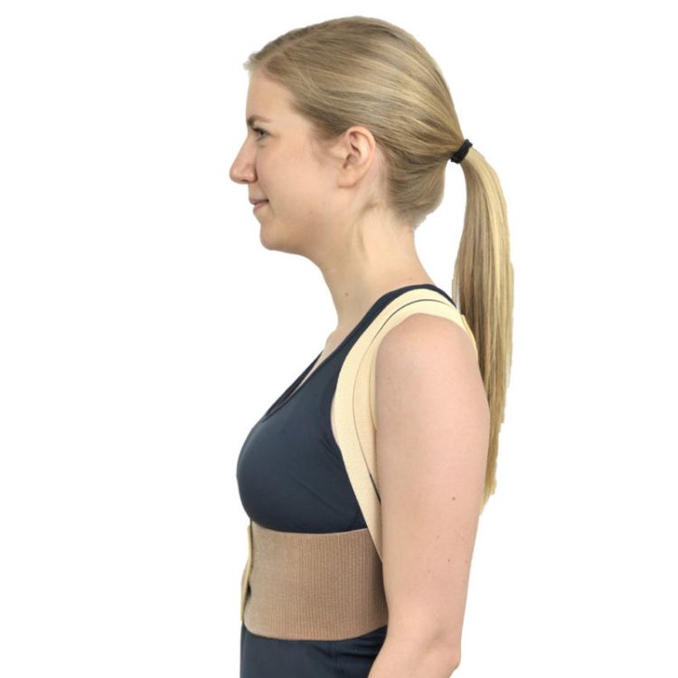 Posture Back Support