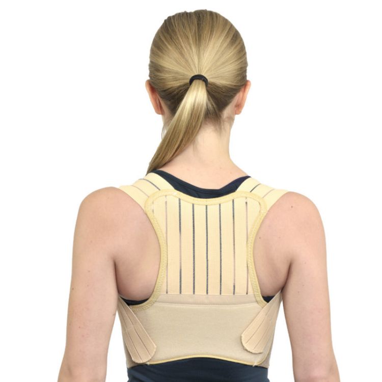 Posture Back Support