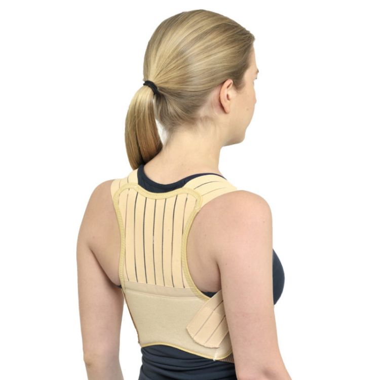 Posture Back Support