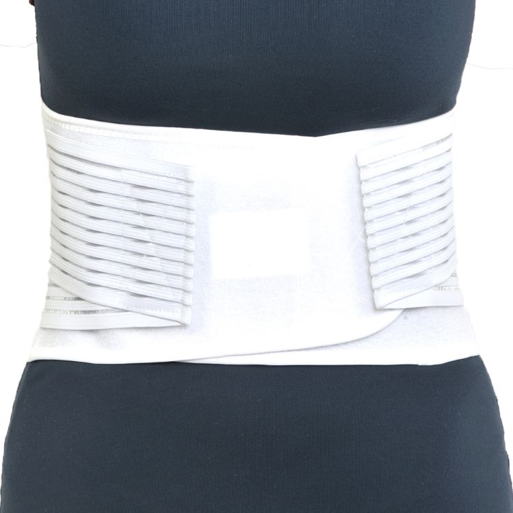 Light Mesh Back Support