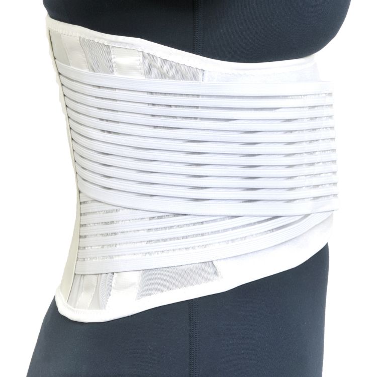 Light Mesh Back Support