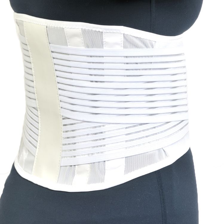 Light Mesh Back Support