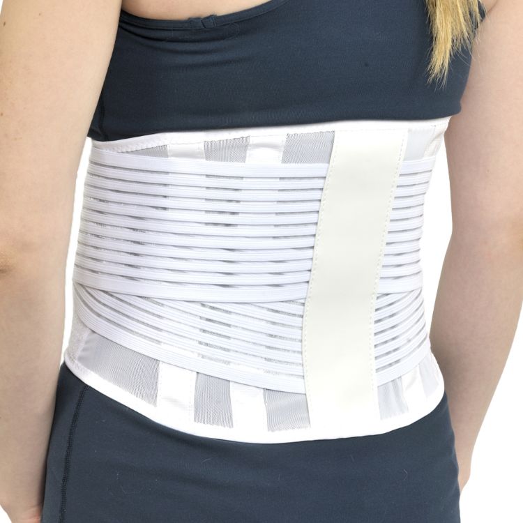 Light Mesh Back Support