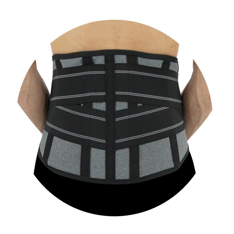 Pavis Ortho-E Back Brace