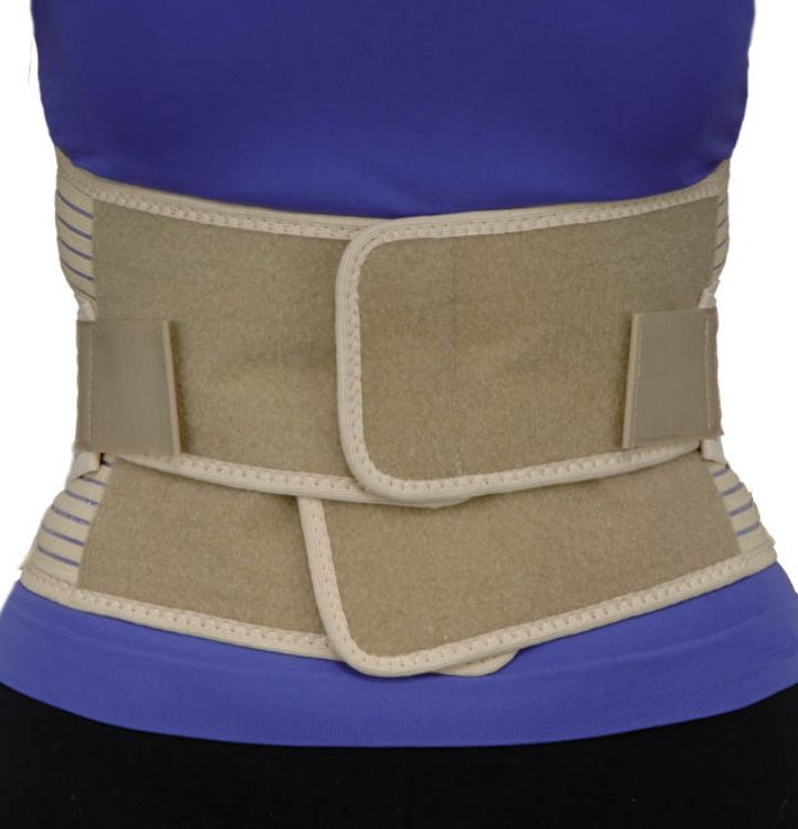 Abdominal/Back Support