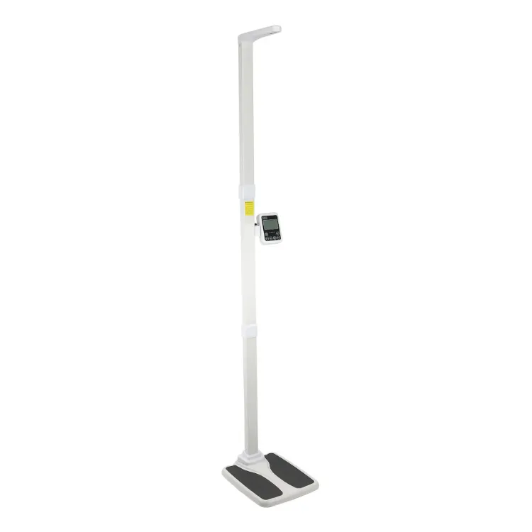Professional Office Scale