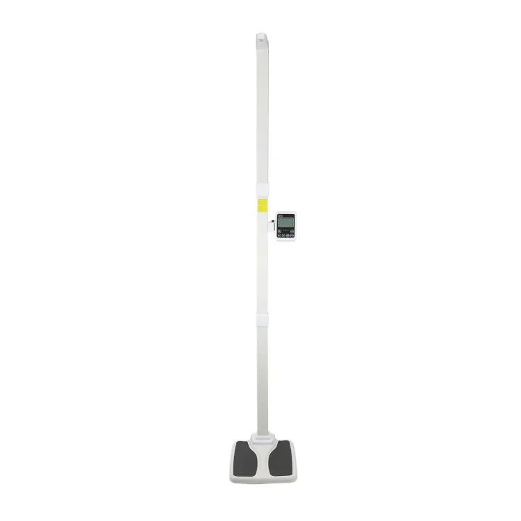 Professional Office Scale
