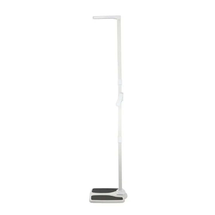 Professional Office Scale