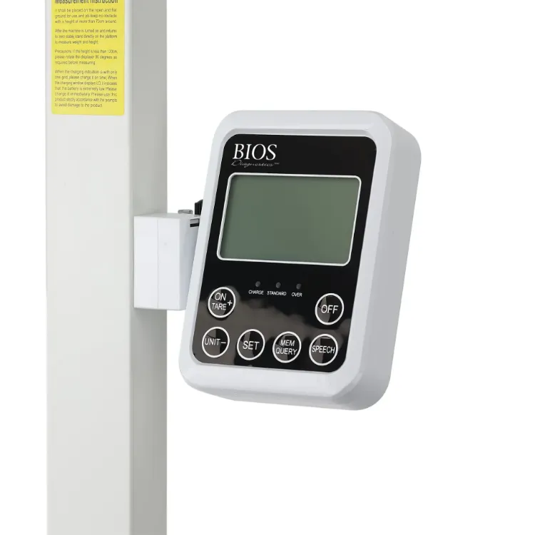 Professional Office Scale