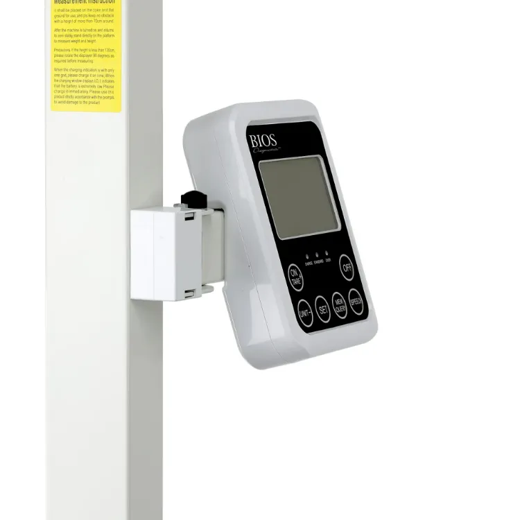 Professional Office Scale