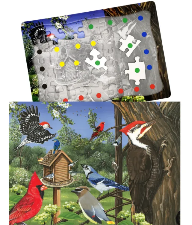 Around the Bird feeder Puzzle